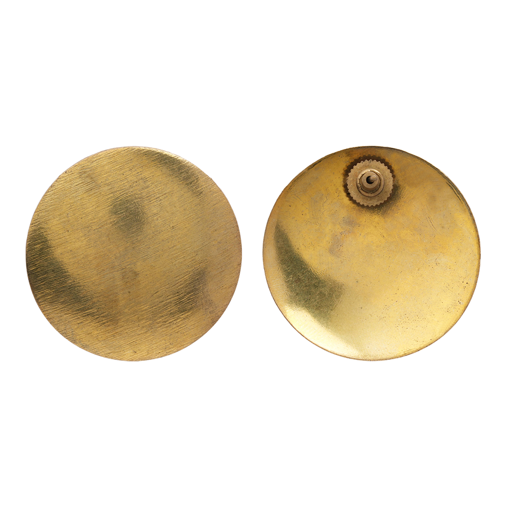 Shaina- Golden Stud Earrings