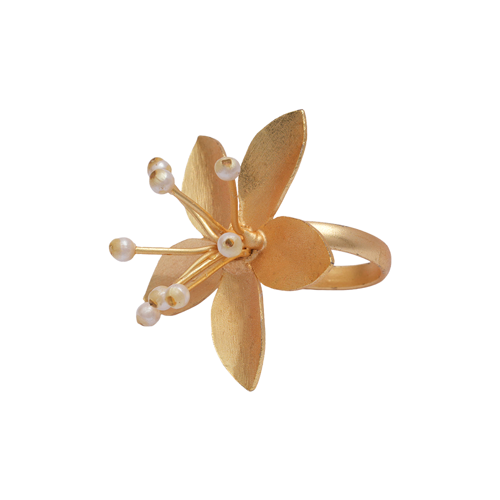 Devangi- Golden Adjustable Ring