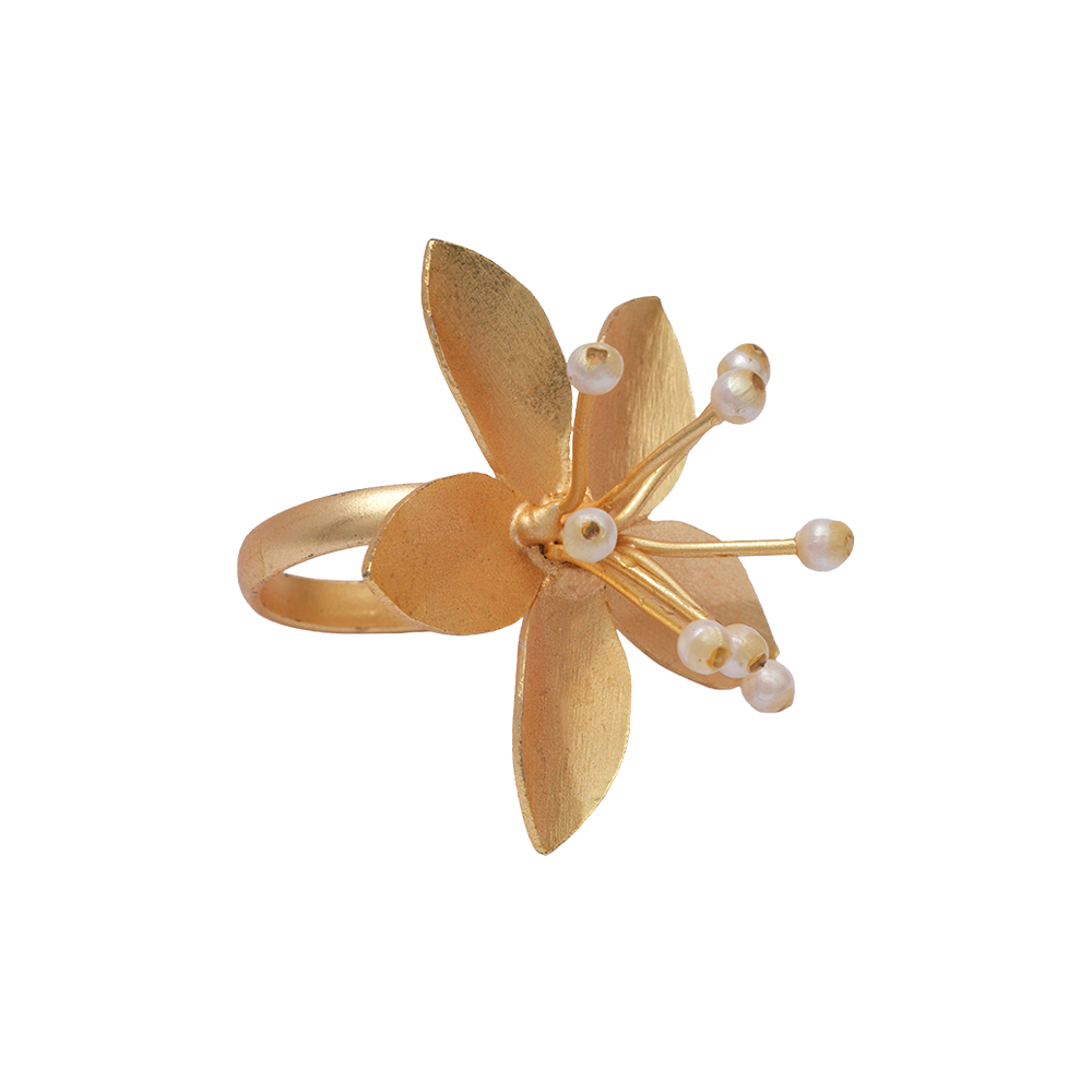 Devangi- Golden Adjustable Ring